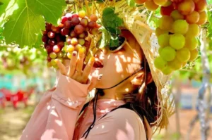 Phan-Rang-Explorer-Skidka-Tolik-Tours-4