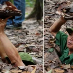 Экскурсия-Сайгон-Хошимин-1-день-Скидка-Нячанг-4