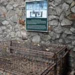 Экскурсия-Сайгон-Хошимин-1-день-Скидка-Нячанг-9-e1764930997146